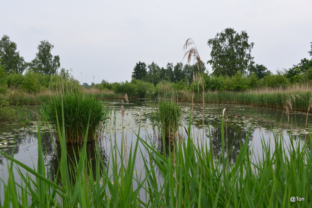 DSC_2585.JPG