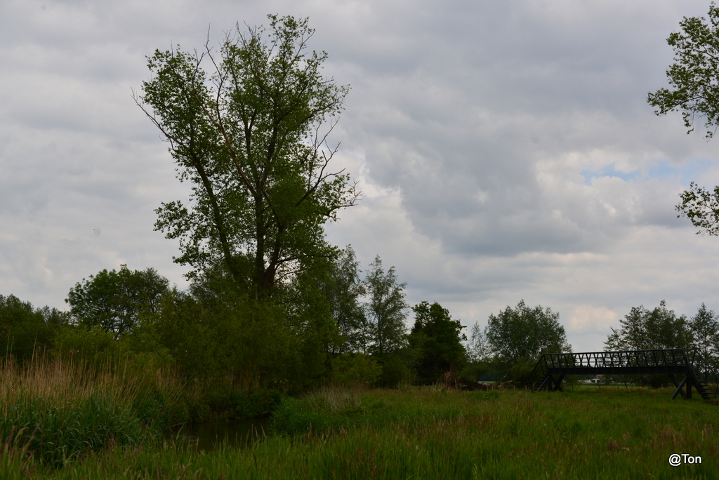 DSC_2193.JPG - Loopbrug over de Dommel