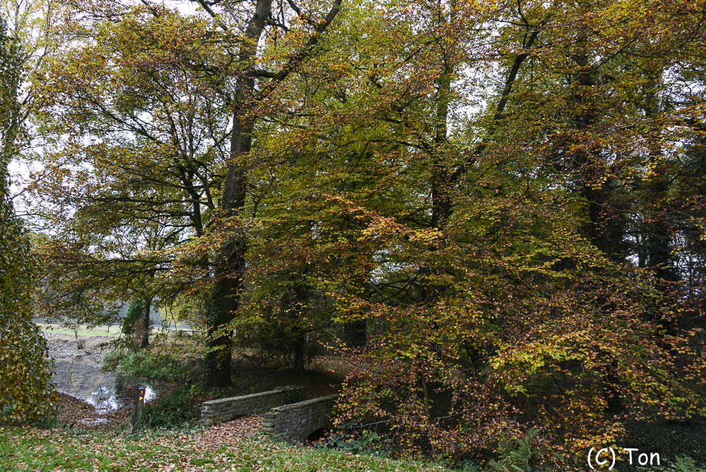 DSC_0818.jpg