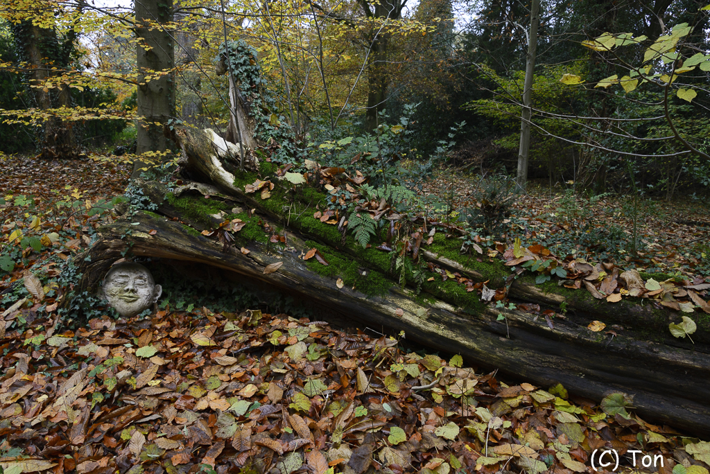 DSC_0834.jpg