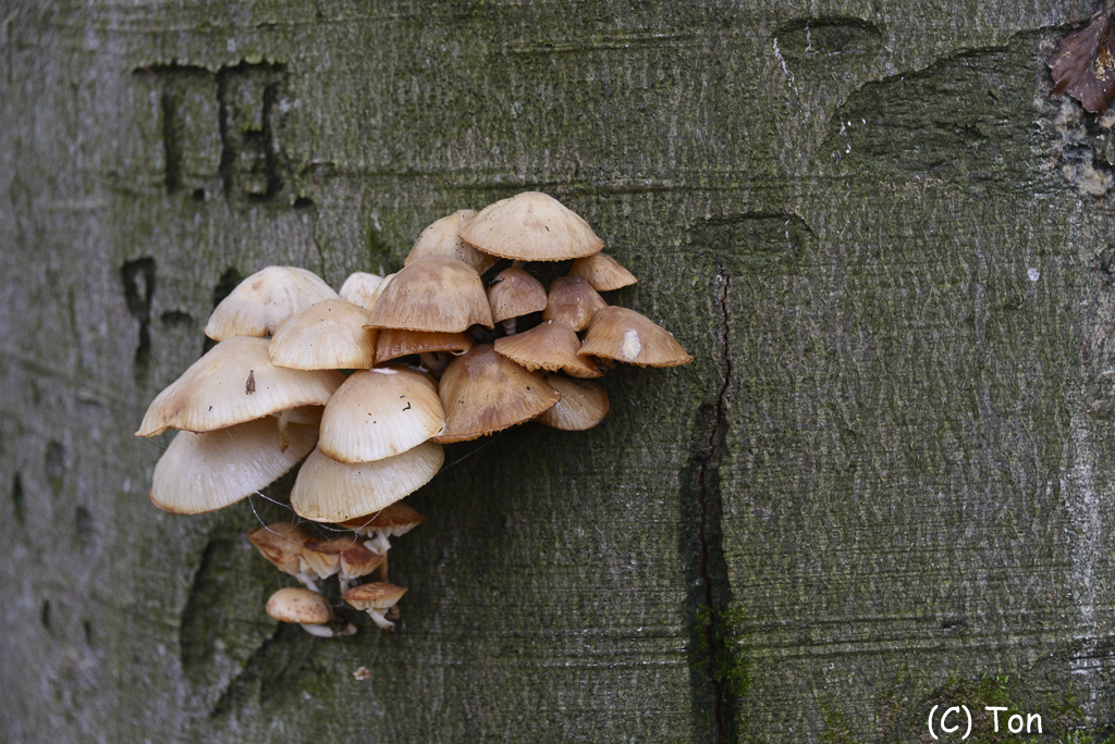DSC_0846.jpg