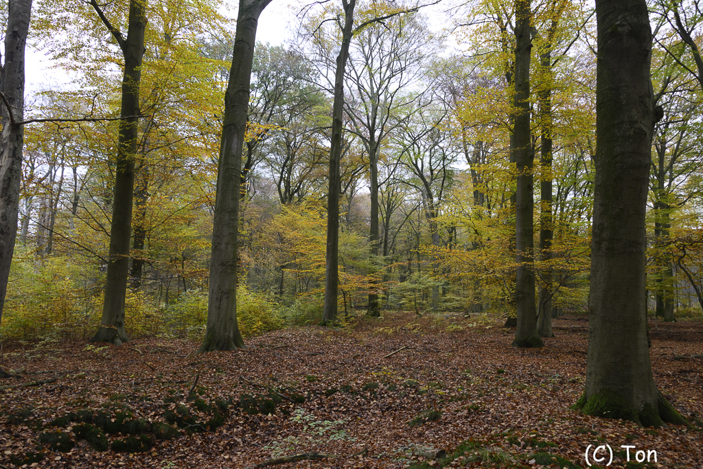 DSC_0856.jpg