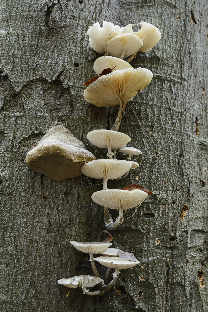 DSC_0873.jpg