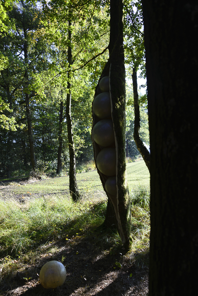 DSC_9597.jpg - Veilig omgeven door een beschermende bast...