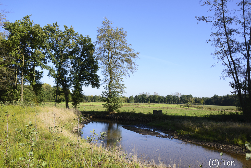 DSC_9692.jpg - Warmbeek
