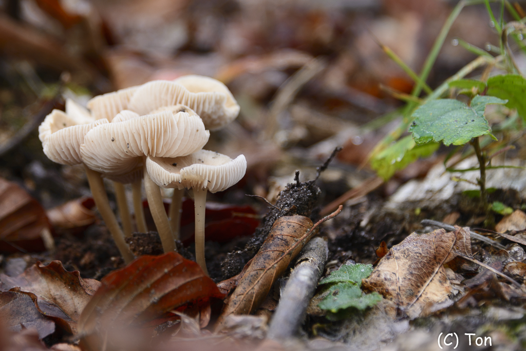 DSC_0149.jpg