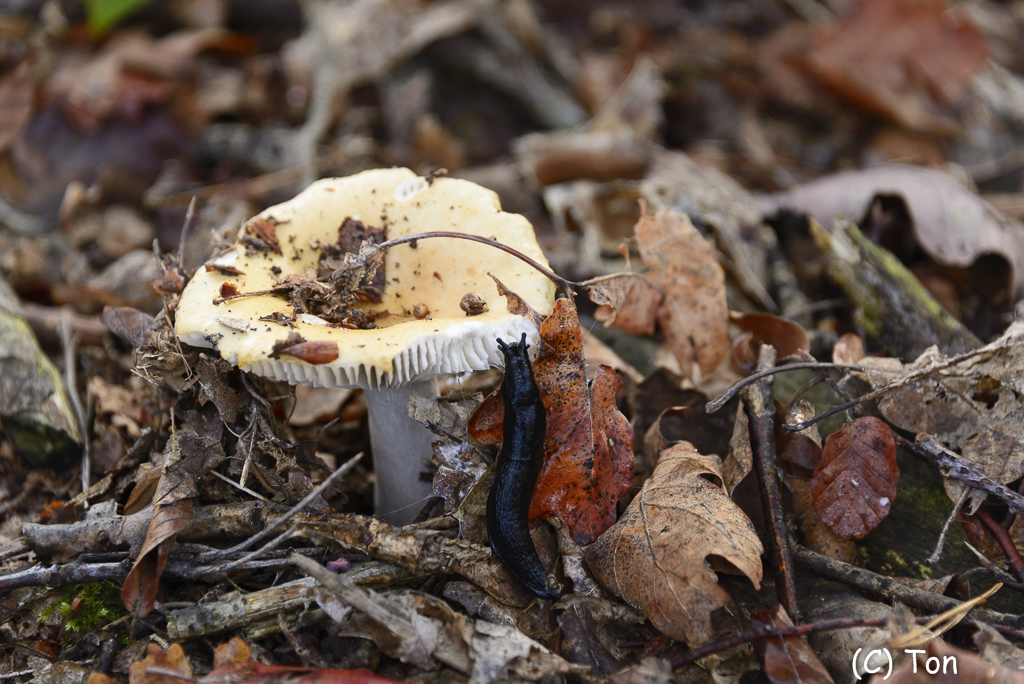 DSC_0151.jpg