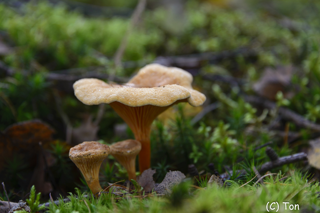 DSC_0210.jpg