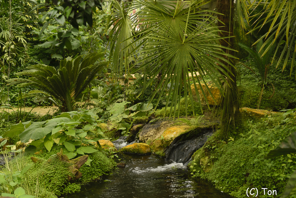 DSC_7516.jpg