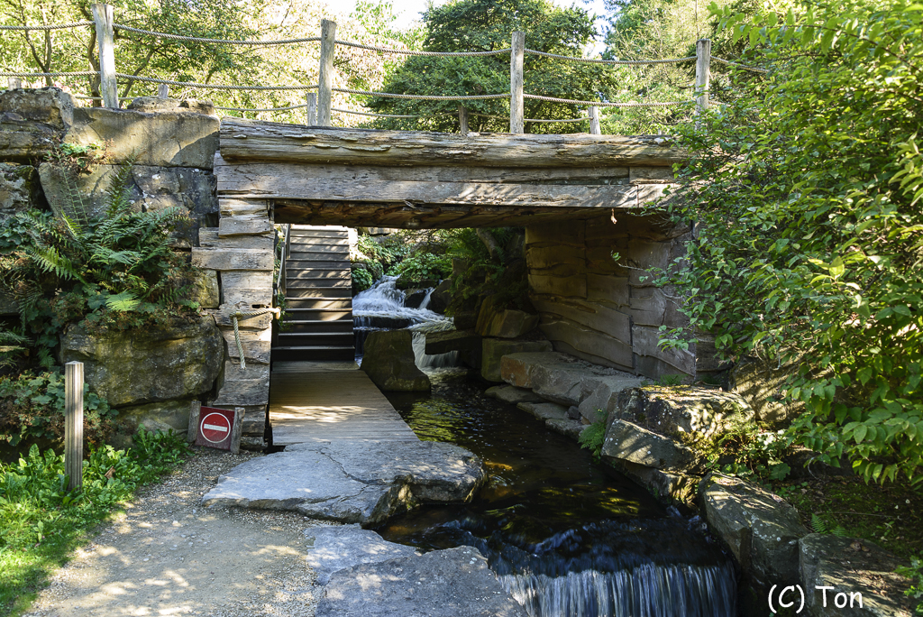 DSC_7637.jpg