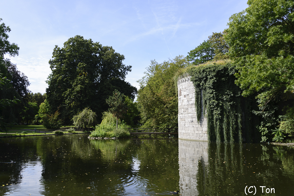 DSC_7255.jpg