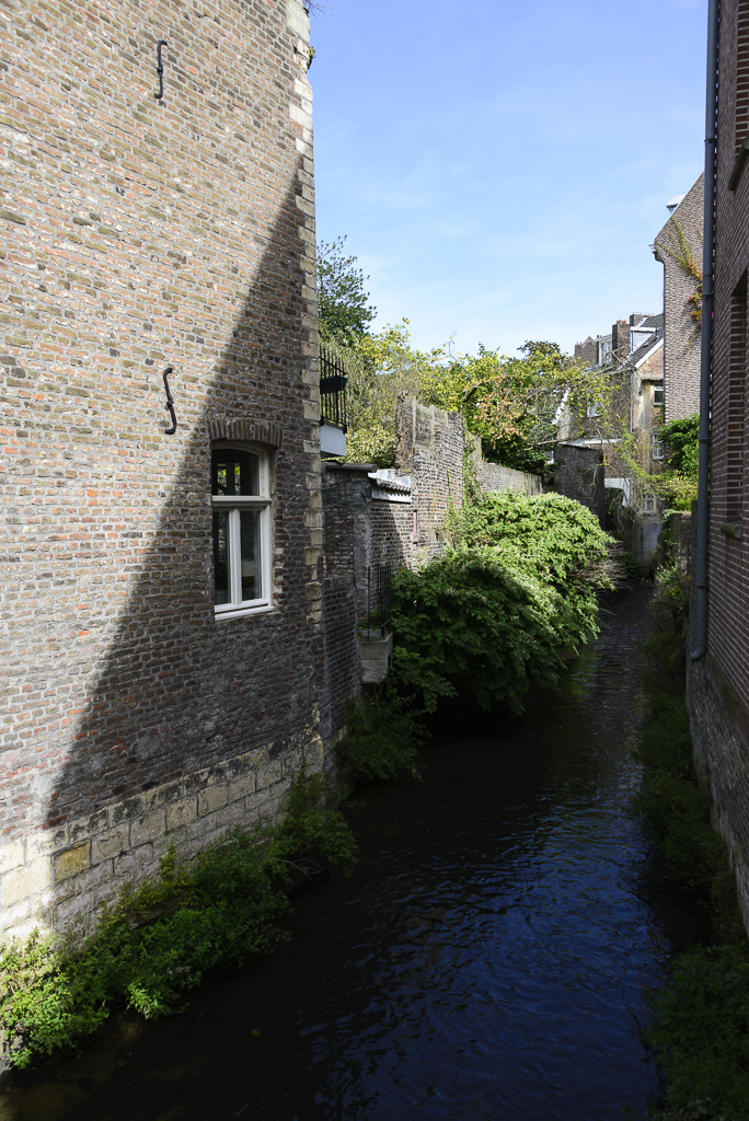 DSC_7311.jpg