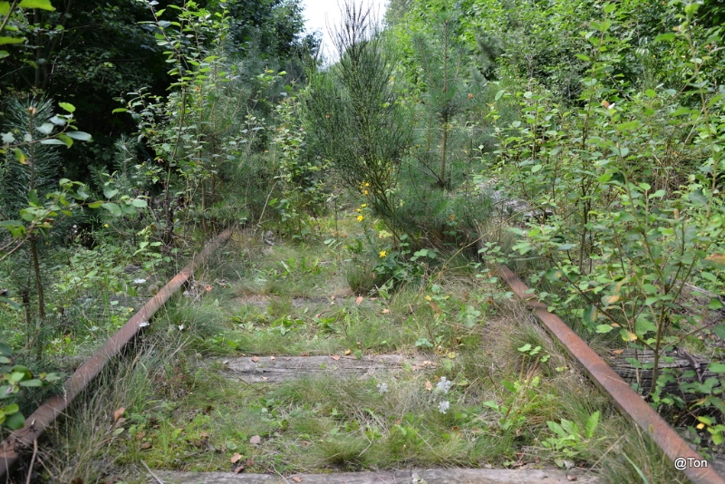 DSC_3355.JPG