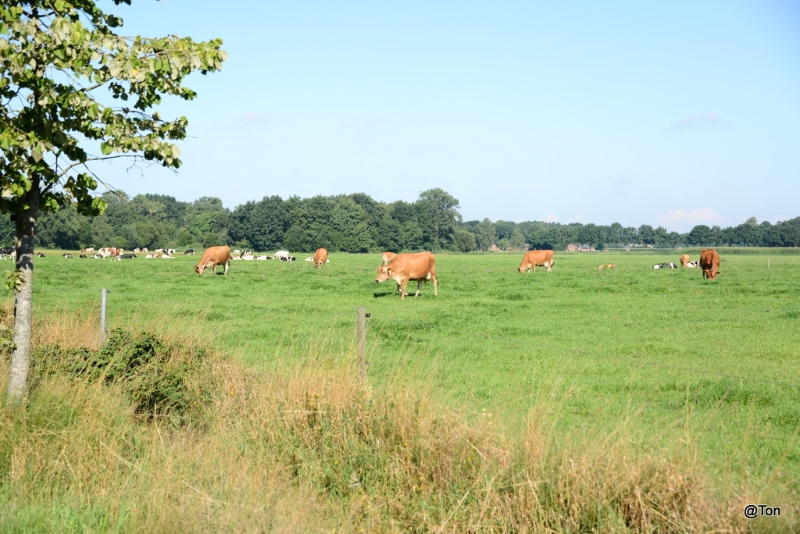DSC_1751.JPG