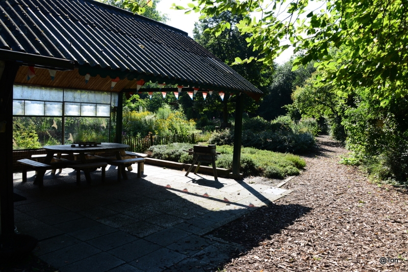 DSC_1766.JPG