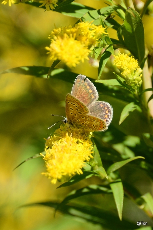 DSC_1791.JPG