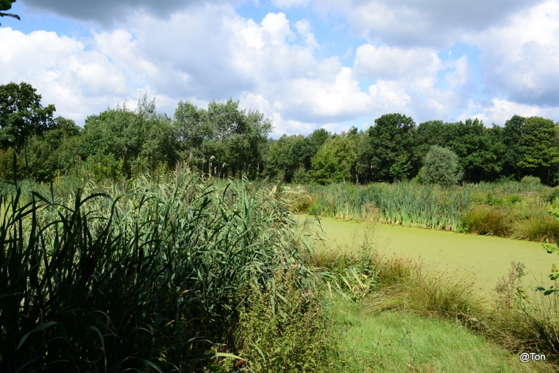 DSC_1858.JPG