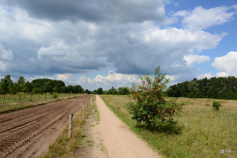 DSC_1918.JPG