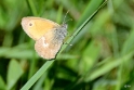DSC_1887