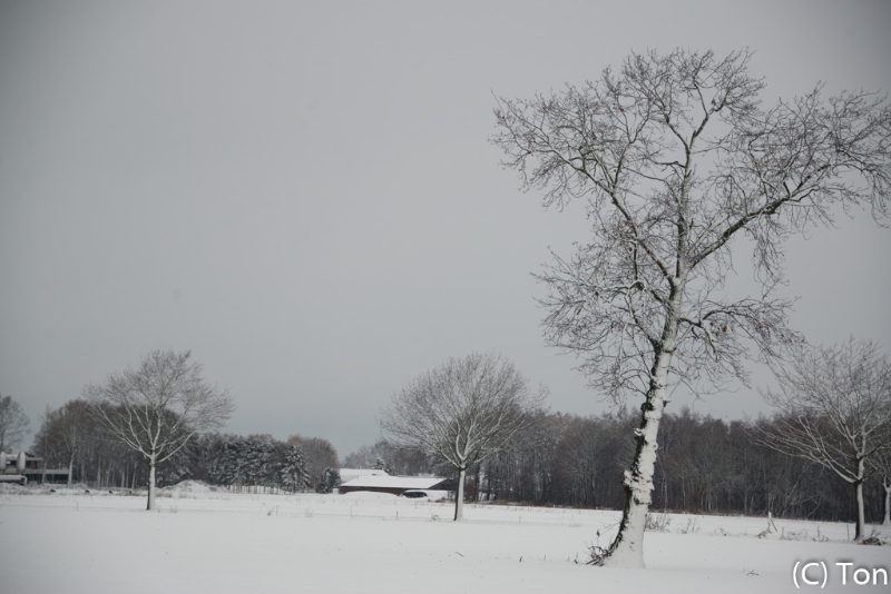 Budel-9280.jpg