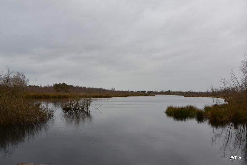 DSC_3975.JPG - Meerbaansblaak