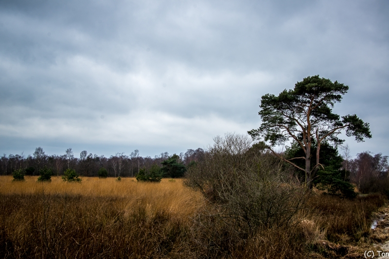 DSC_3997.jpg