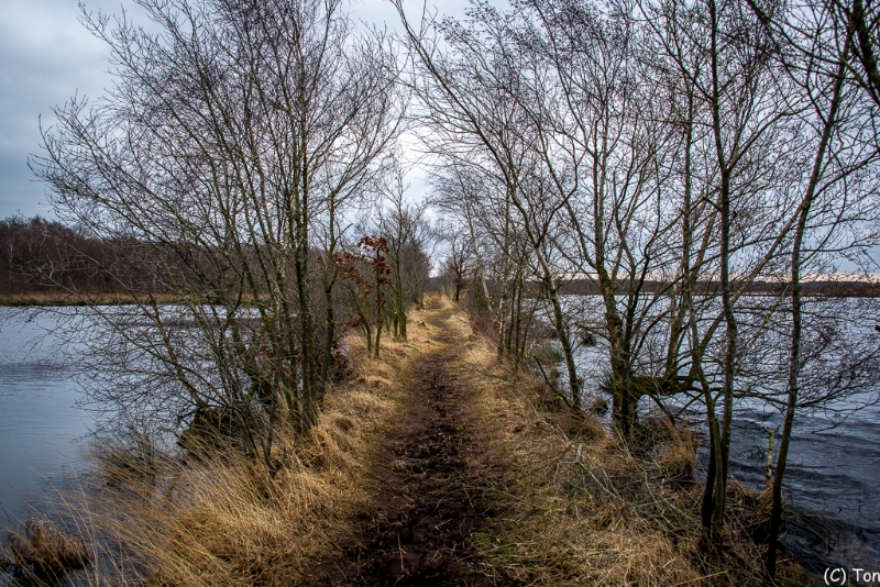 DSC_4006.jpg