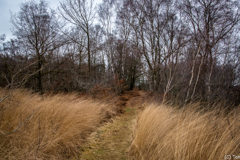 DSC_4009.jpg