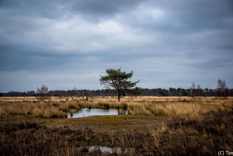 DSC_4019.jpg