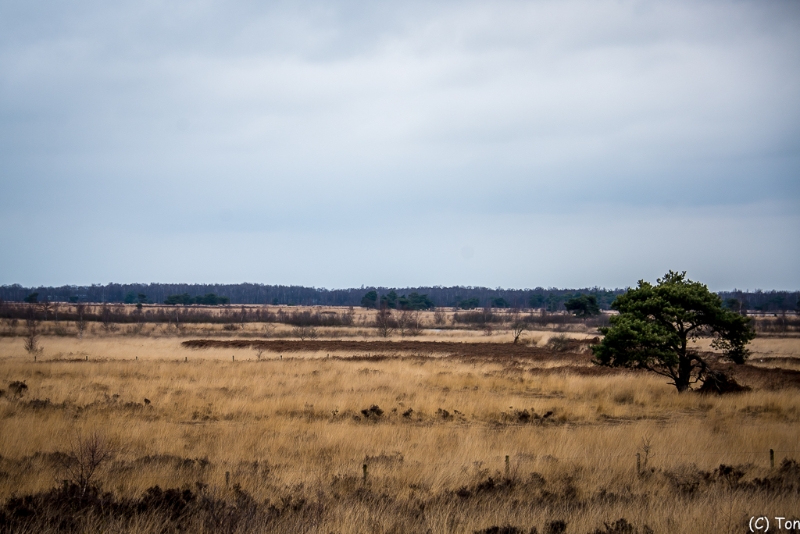 DSC_4025.jpg