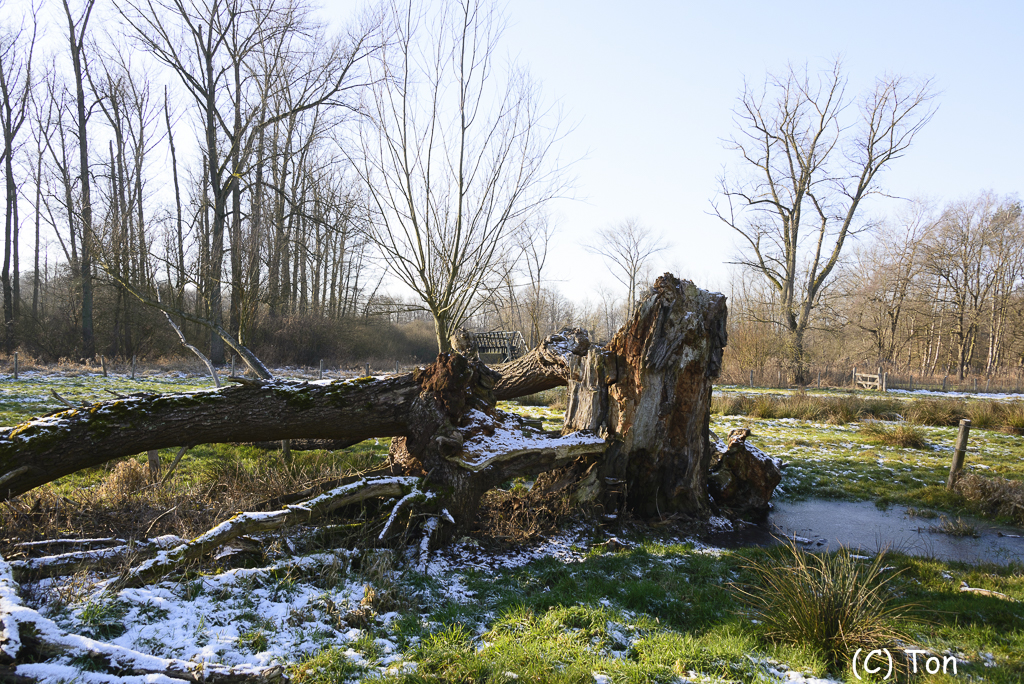 DSC_3458.jpg