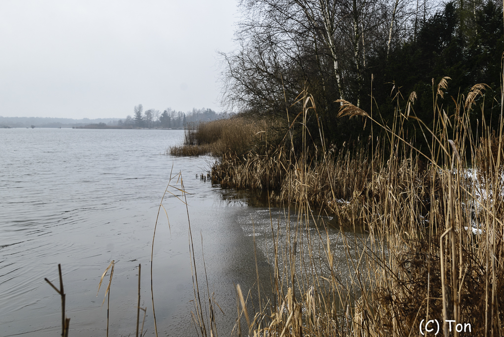 DSC_3274.jpg