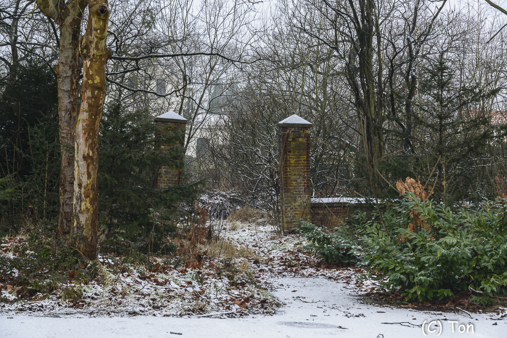 DSC_3315.jpg