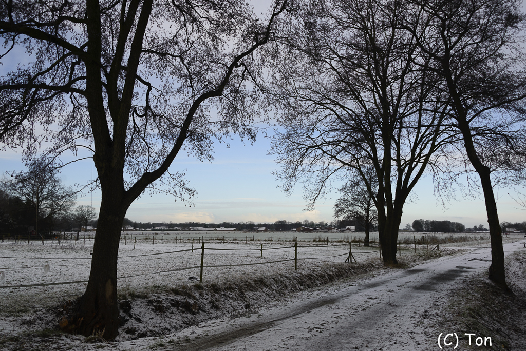 DSC_3186.jpg