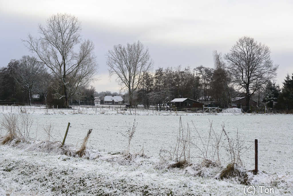 DSC_3188.jpg
