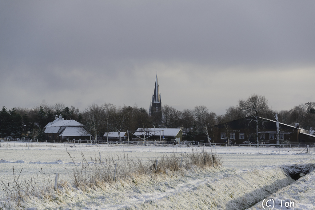 DSC_3194.jpg