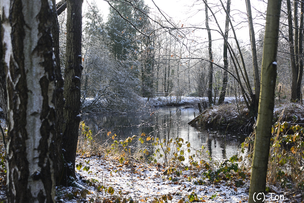 DSC_3214.jpg