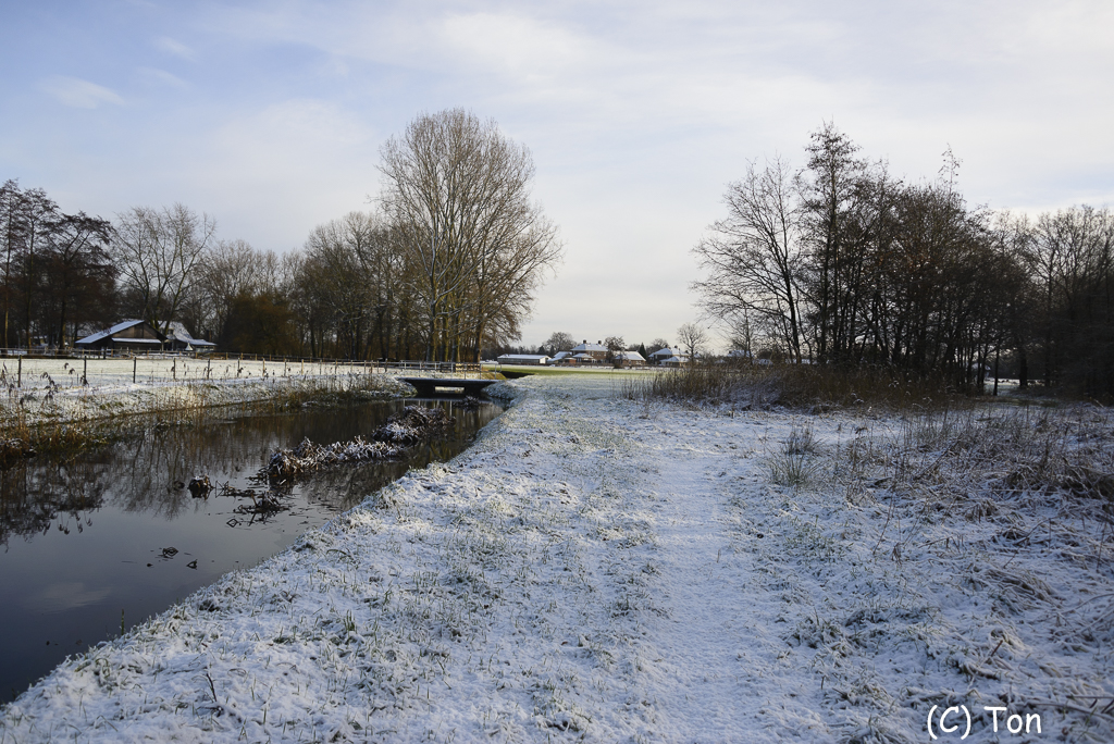 DSC_3217.jpg