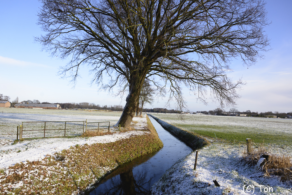 DSC_3240.jpg