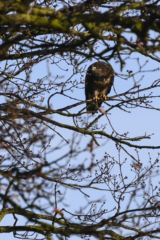 DSC_3241.jpg