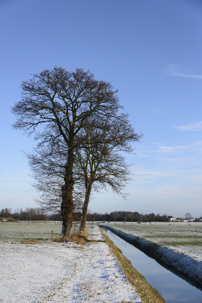 DSC_3248.jpg