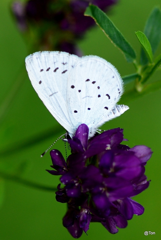 DSC_9428.JPG