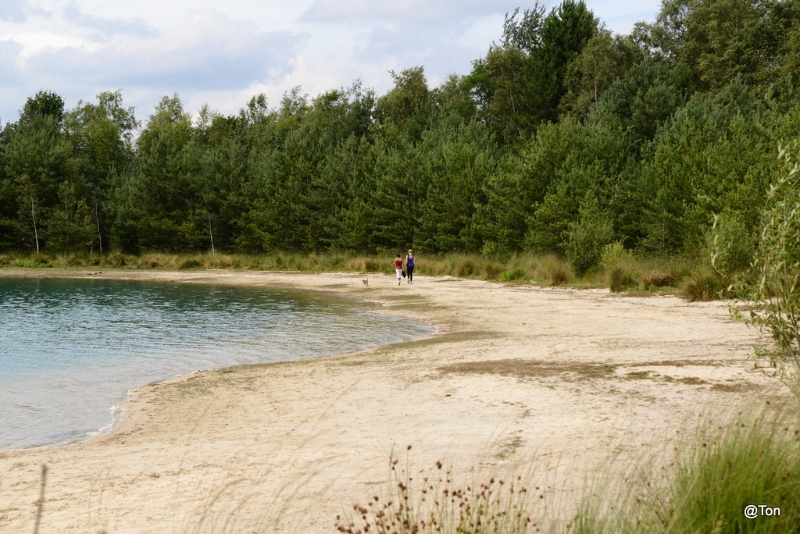 DSC_1355.JPG