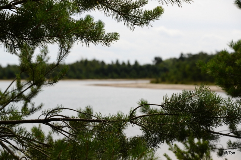 DSC_1392.JPG