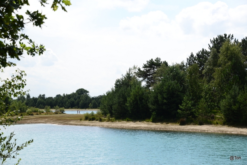 DSC_1471.JPG