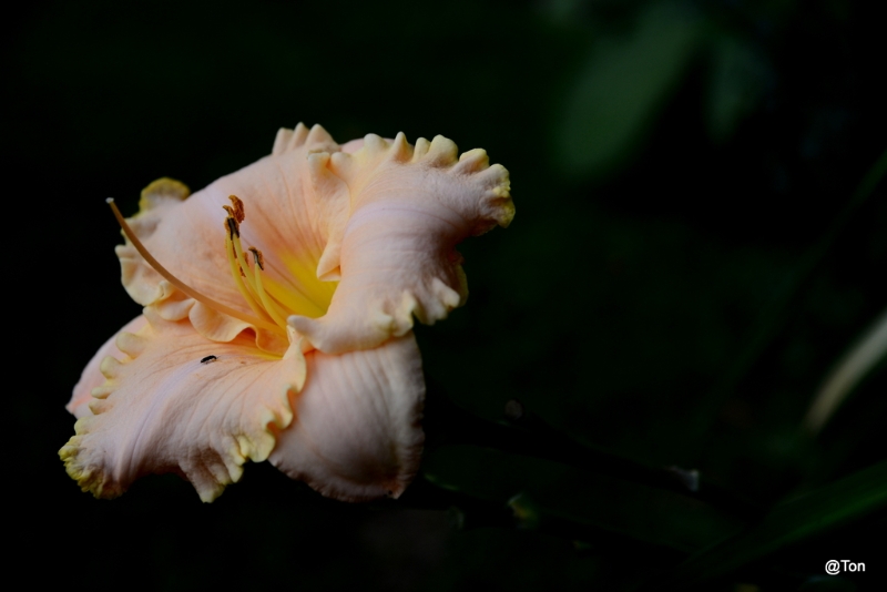 DSC_8369.JPG
