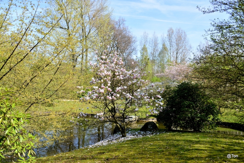 DSC_4982.JPG