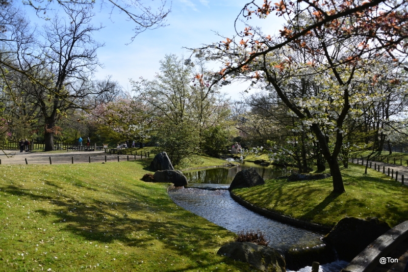 DSC_4987.JPG