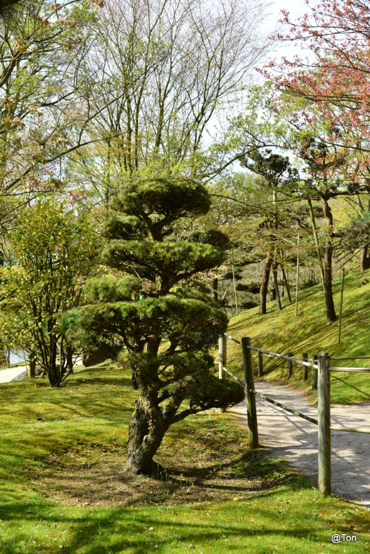 DSC_5011.JPG