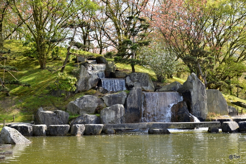 DSC_5024.JPG